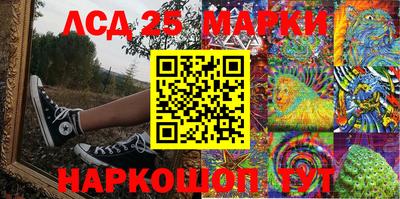 крисы Партизанск