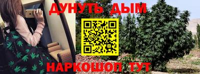 гидропоника Пенза