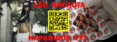 крисы Партизанск