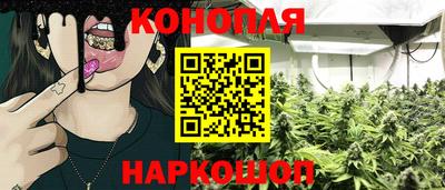 гидропоника Пенза