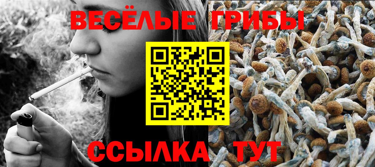 Псилоцибиновые грибы Cubensis Пугачёв