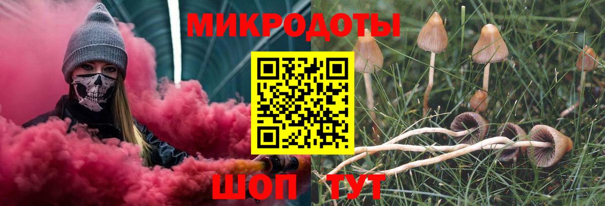 Пугачёв  Галлюциногенные грибы ЛСД  Вход с VPN 
